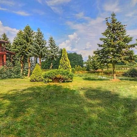 Dom Wakacyjny Z Ogromnym Ogrodem Witaszyn Exterior foto
