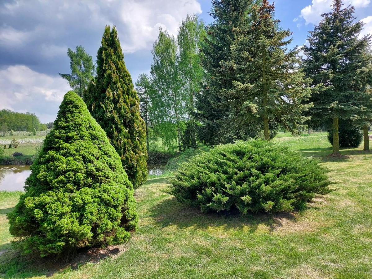 Dom Wakacyjny Z Ogromnym Ogrodem Witaszyn Exterior foto