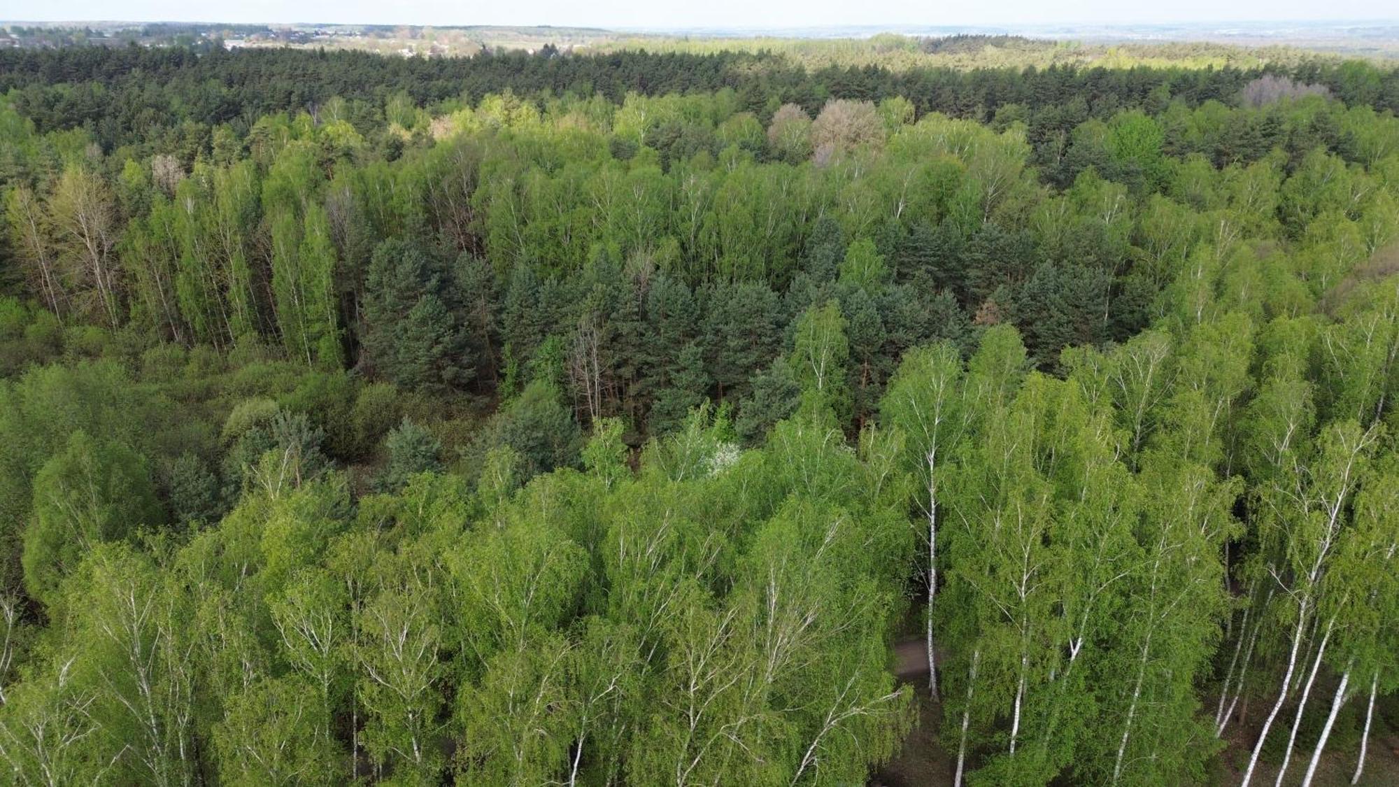 Dom Wakacyjny Z Ogromnym Ogrodem Witaszyn Exterior foto