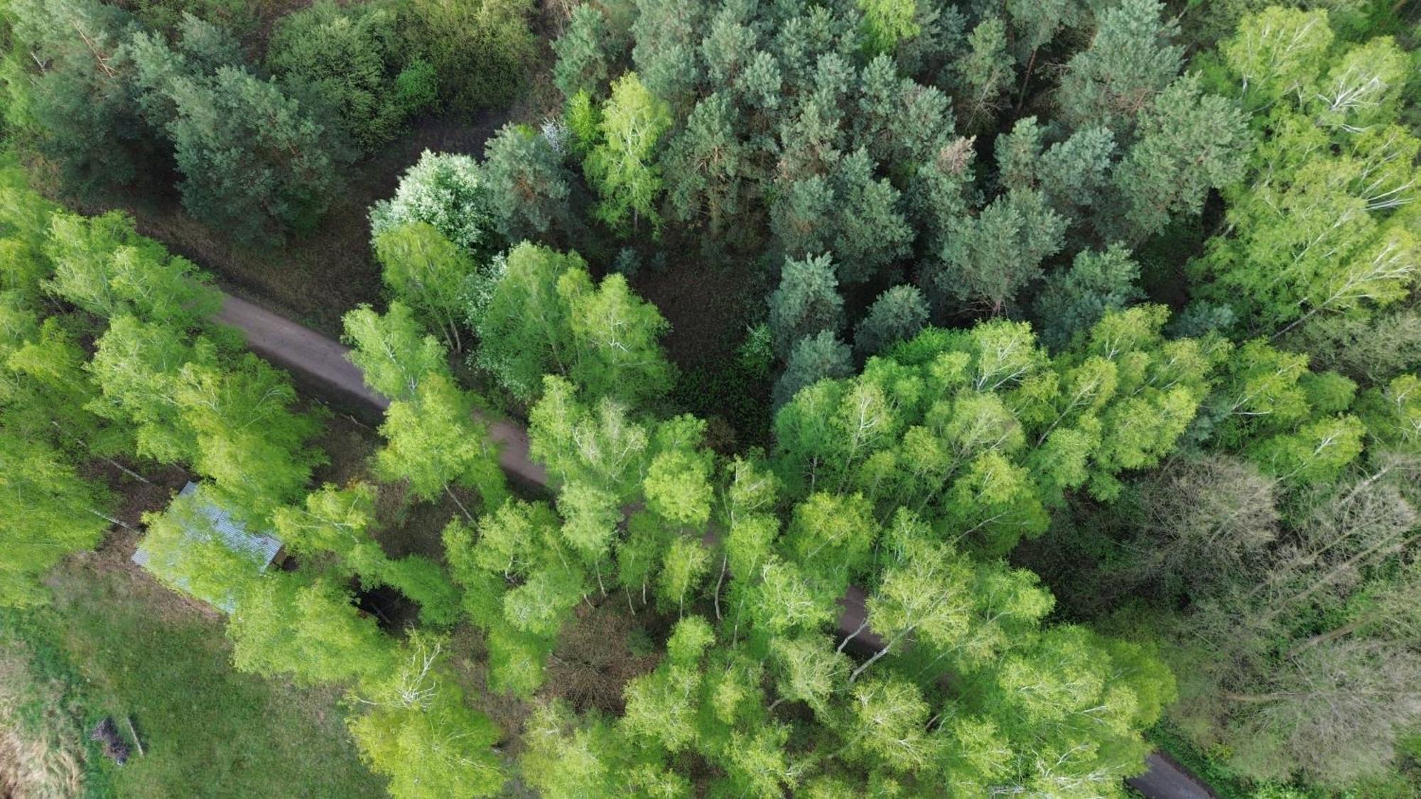 Dom Wakacyjny Z Ogromnym Ogrodem Witaszyn Exterior foto